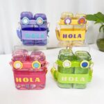 700 ml cute bottle hola